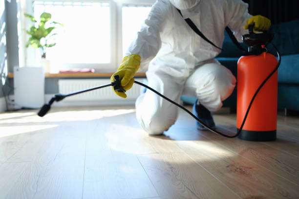 Reliable Hoarding Cleanup contractor in Belleville, MI by Trauma Clean Pros